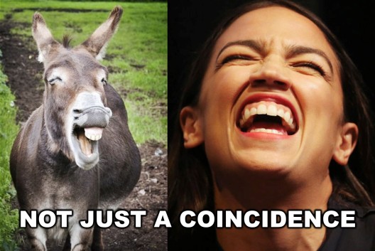 Image result for ocasio-cortez braying jackass images